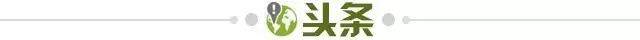 beb4f3d5-0aed-4898-a653-2bc9f6b6eb28.jpg@!img01