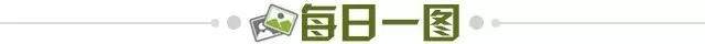 0618fd9e-5b11-44e7-a322-15a08bc24ced.jpg@!img01